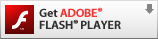 Adobe Flash Player Logo